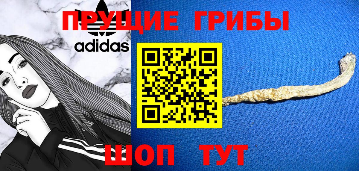 Галлюциногенные грибы Psilocybe Вятские Поляны