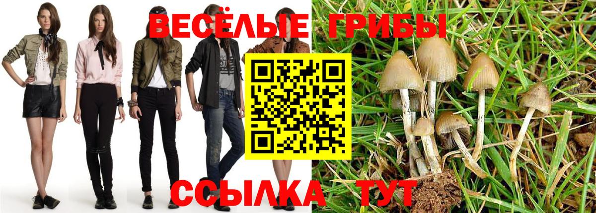 Галлюциногенные грибы прущие грибы  Вход с VPN  Вятские Поляны  Псилоцибиновые грибы мицелий 